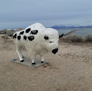 Meet your Posher, Joyce